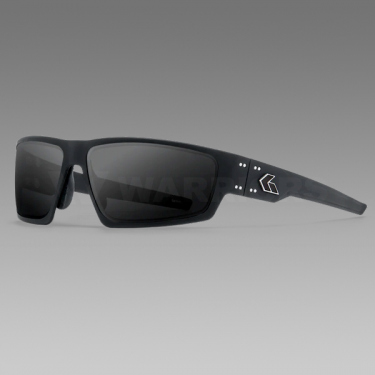 GATORZ　ウォーホーク セラコートブラック/スモークレンズ